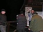 231.jpg